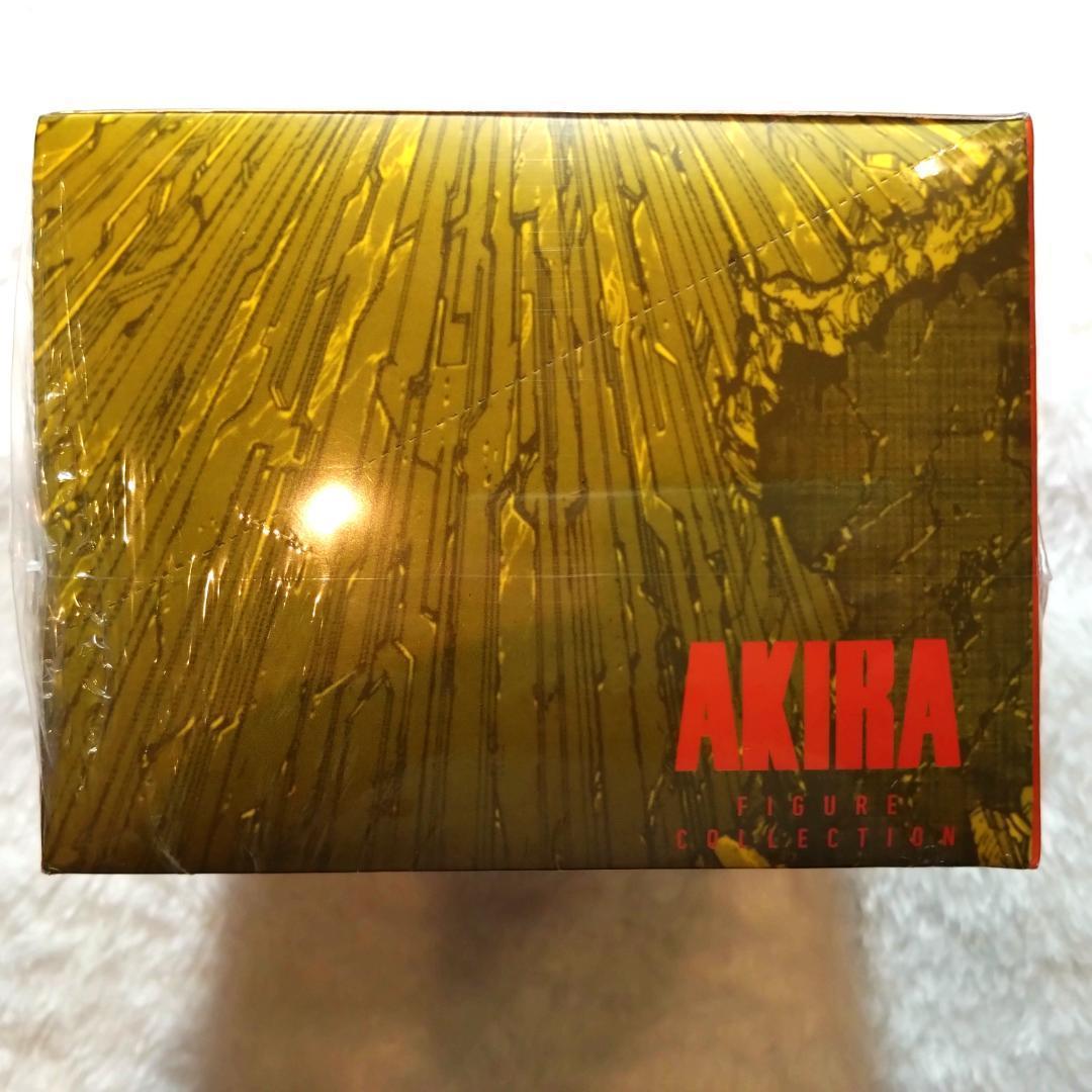 【新品】AKIRA PART4 決戦 海洋堂 BOX 全4種 塗装済みフィギュア