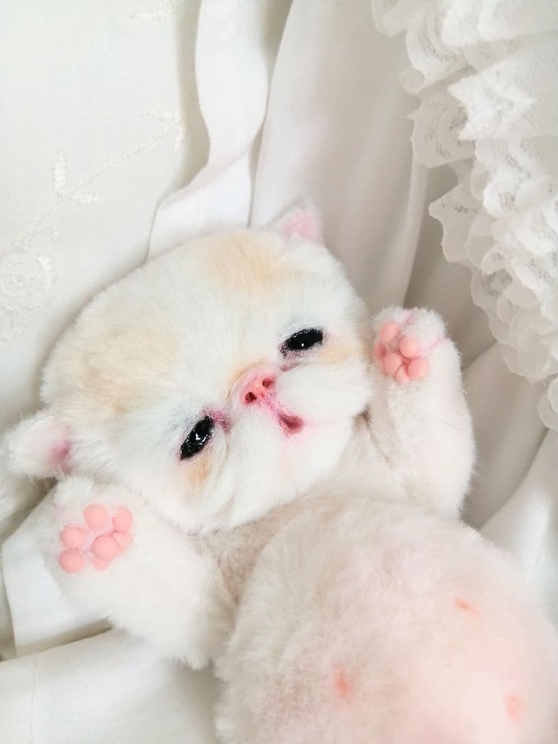 エキゾチック子猫ちゃん♡ベビー♡おめめうるうる♡アートドール♡ぬいぐるみ♡