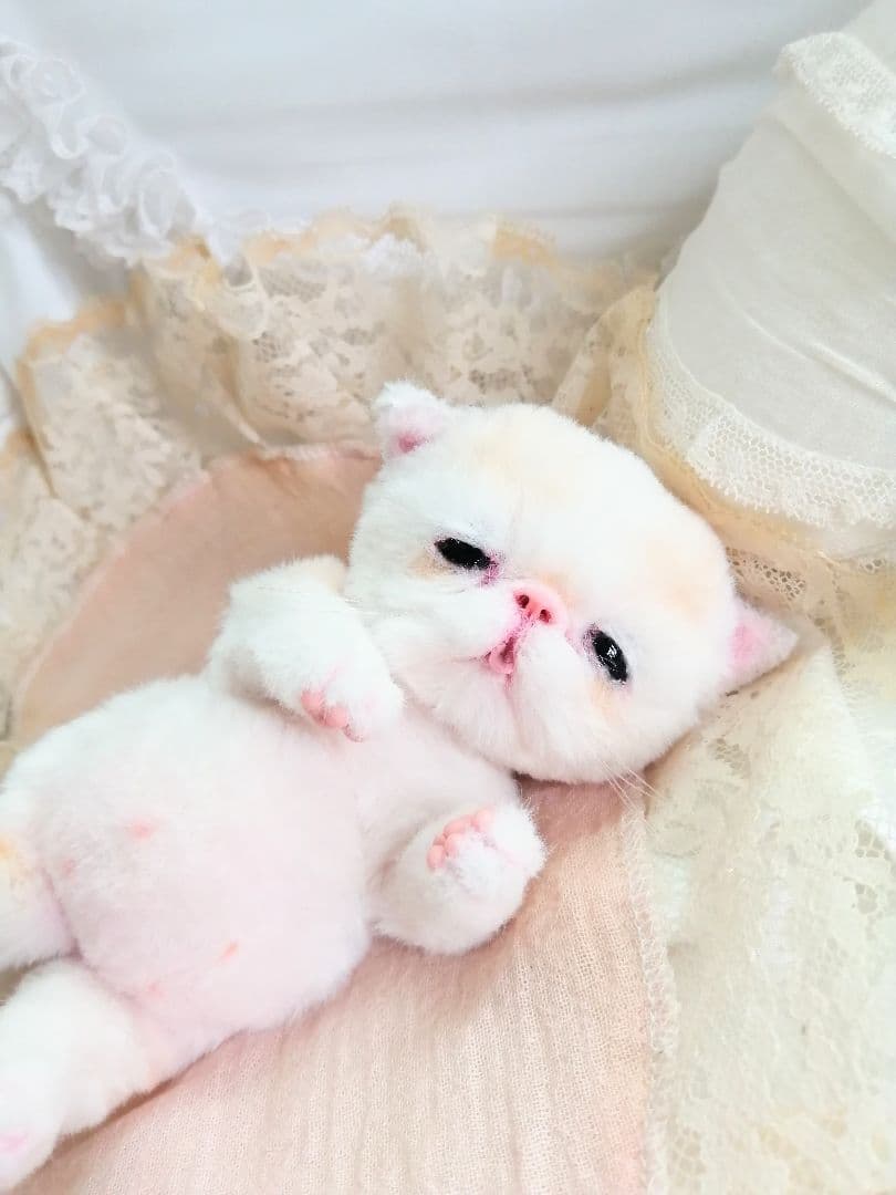 エキゾチック子猫ちゃん♡ベビー♡おめめうるうる♡アートドール♡ぬいぐるみ♡