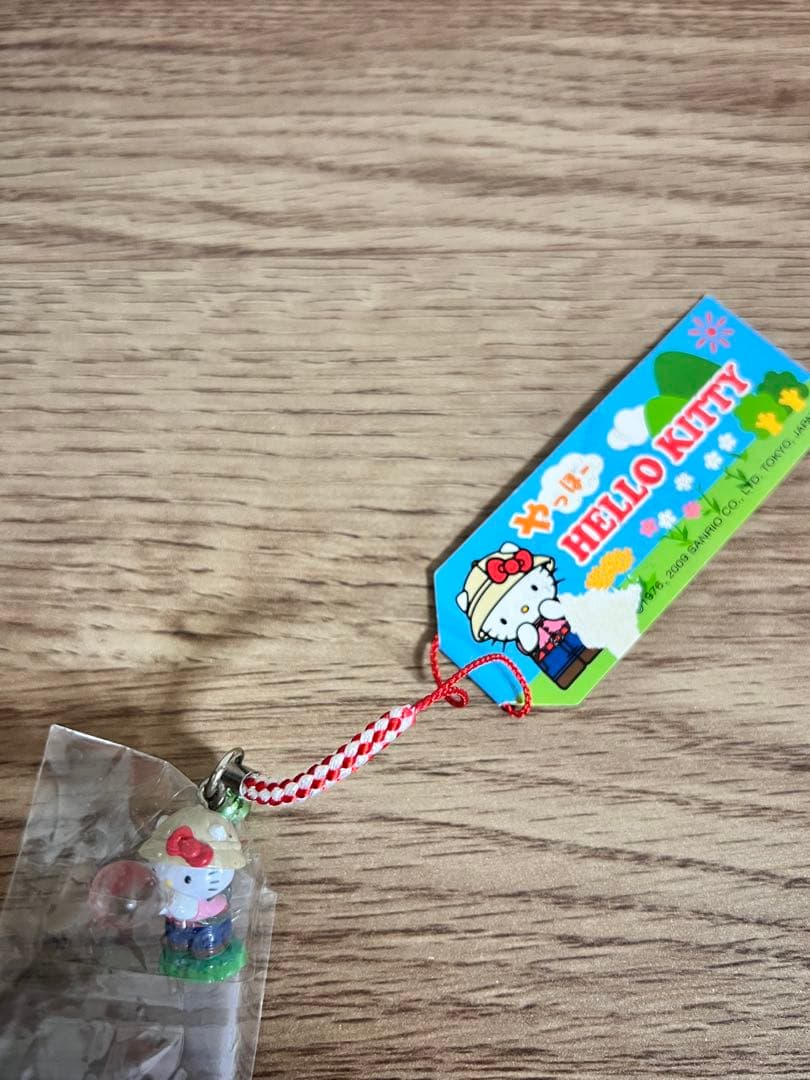 ご当地キティ　根付キティー　やっほー　ハローキティー　Hello Kitty