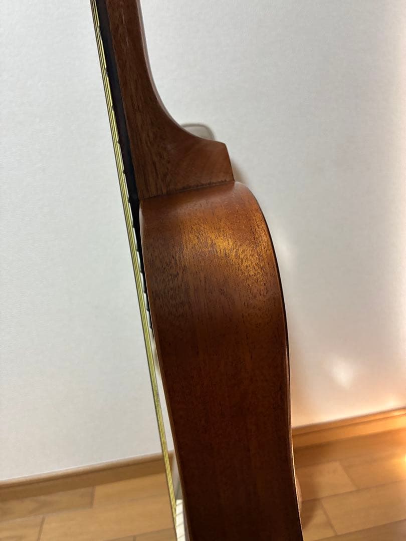 SX TRAVELLER TGI アコースティックギター