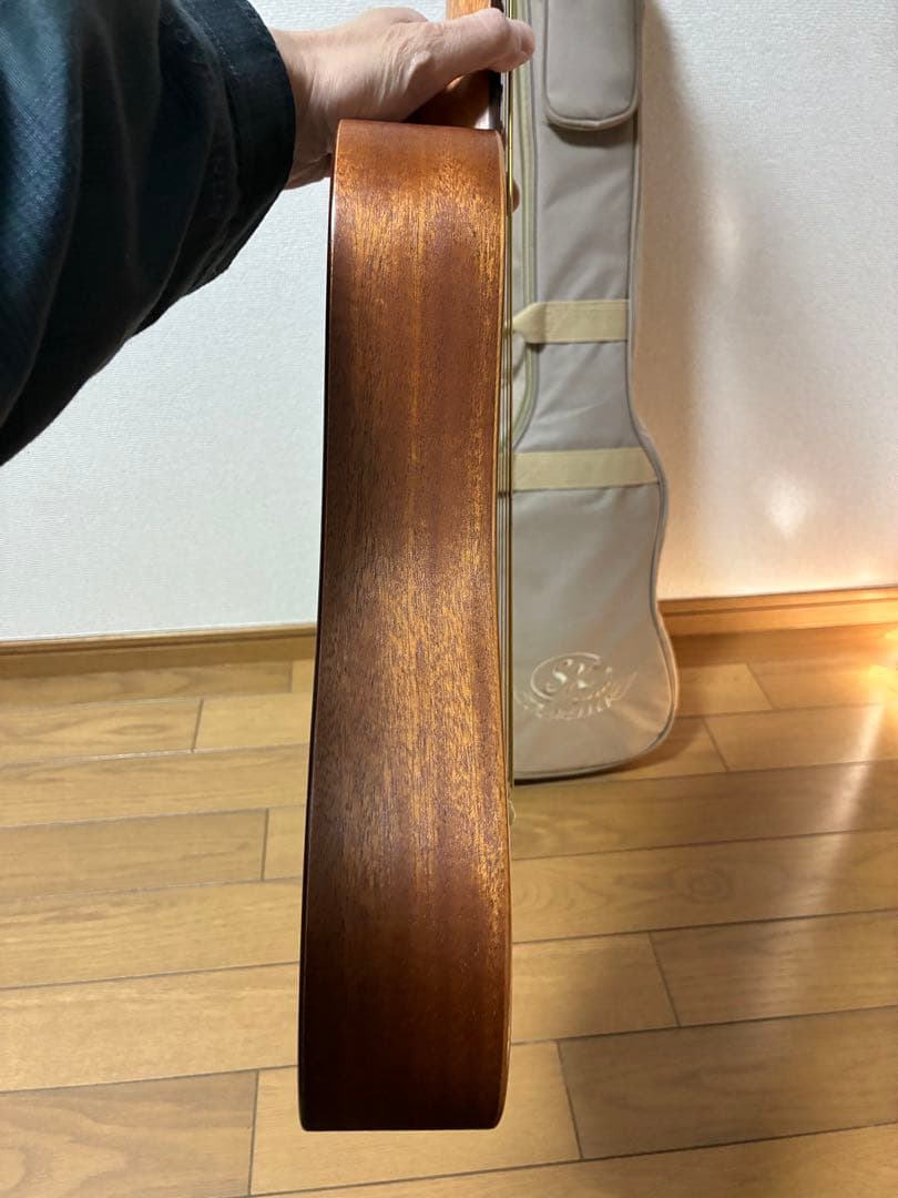 SX TRAVELLER TGI アコースティックギター