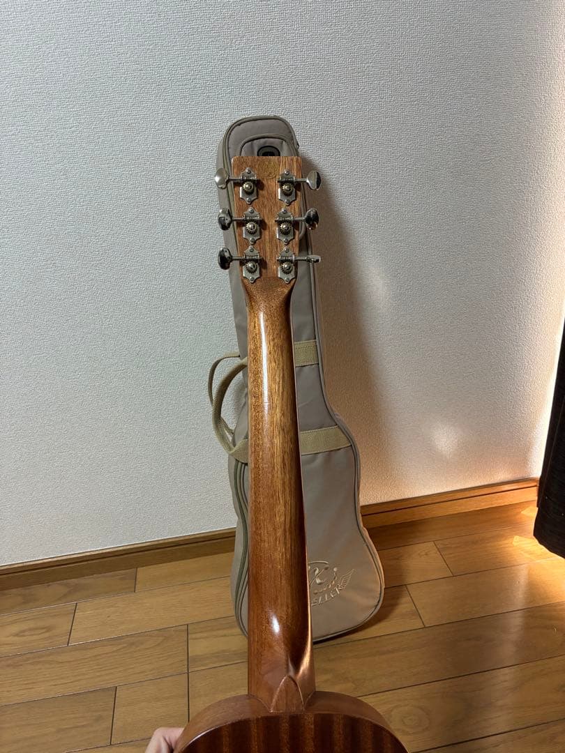 SX TRAVELLER TGI アコースティックギター