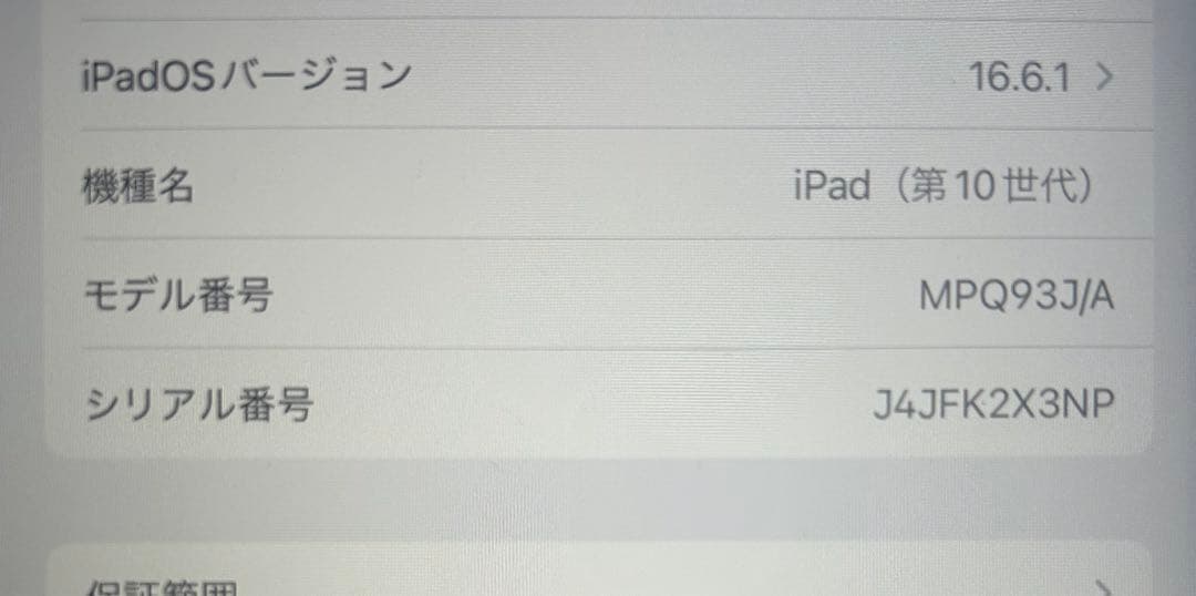 iPad 10 (第10世代) 256GB