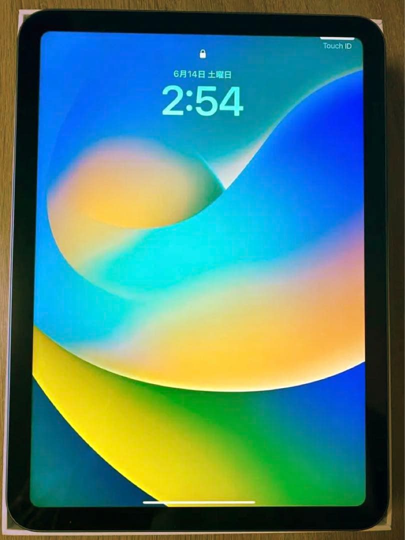 iPad 10 (第10世代) 256GB