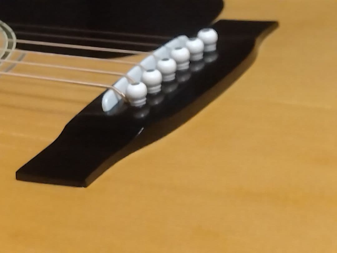 Cats' eyes(キャッツアイ)CE-450D