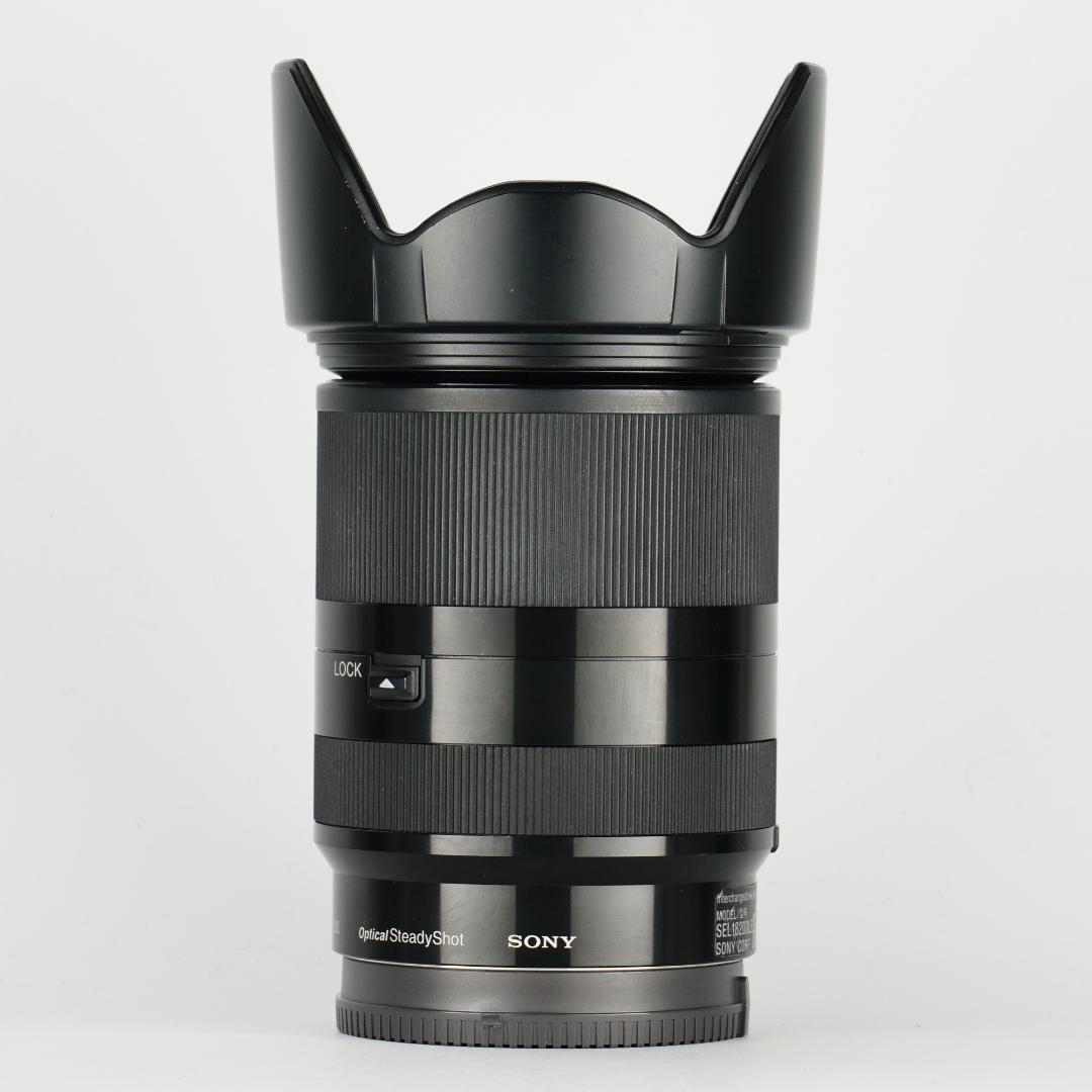 レンズ交換から解放される1本 SONY SEL18200LE 美品 130