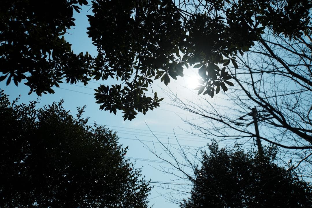 レンズ交換から解放される1本 SONY SEL18200LE 美品 130