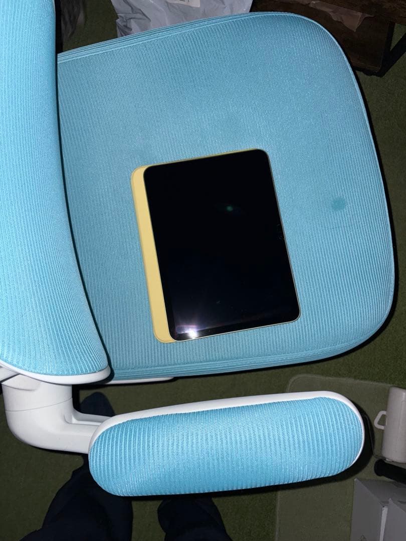 サ*ル様 iPad A16 256GB WiFiモデル イエロー 中古美品 おま