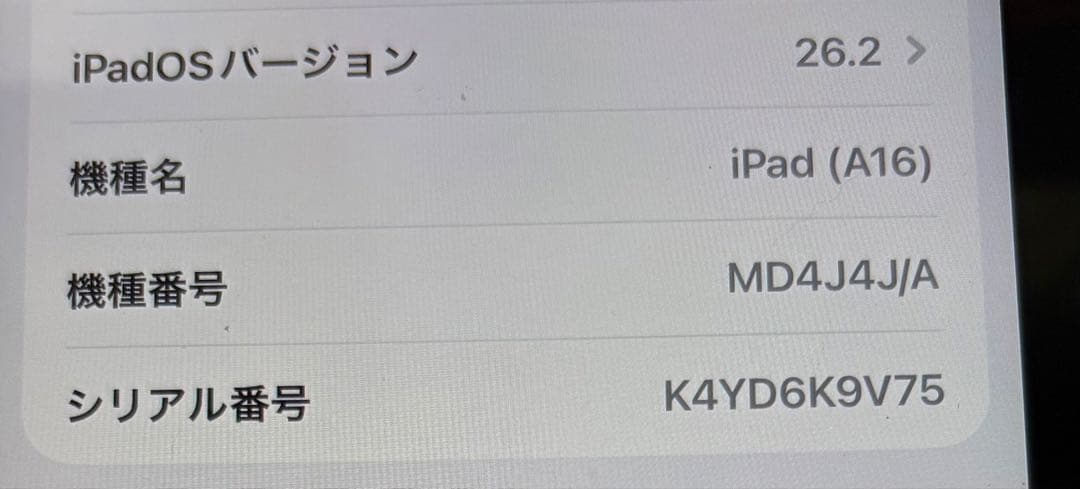 サ*ル様 iPad A16 256GB WiFiモデル イエロー 中古美品 おま
