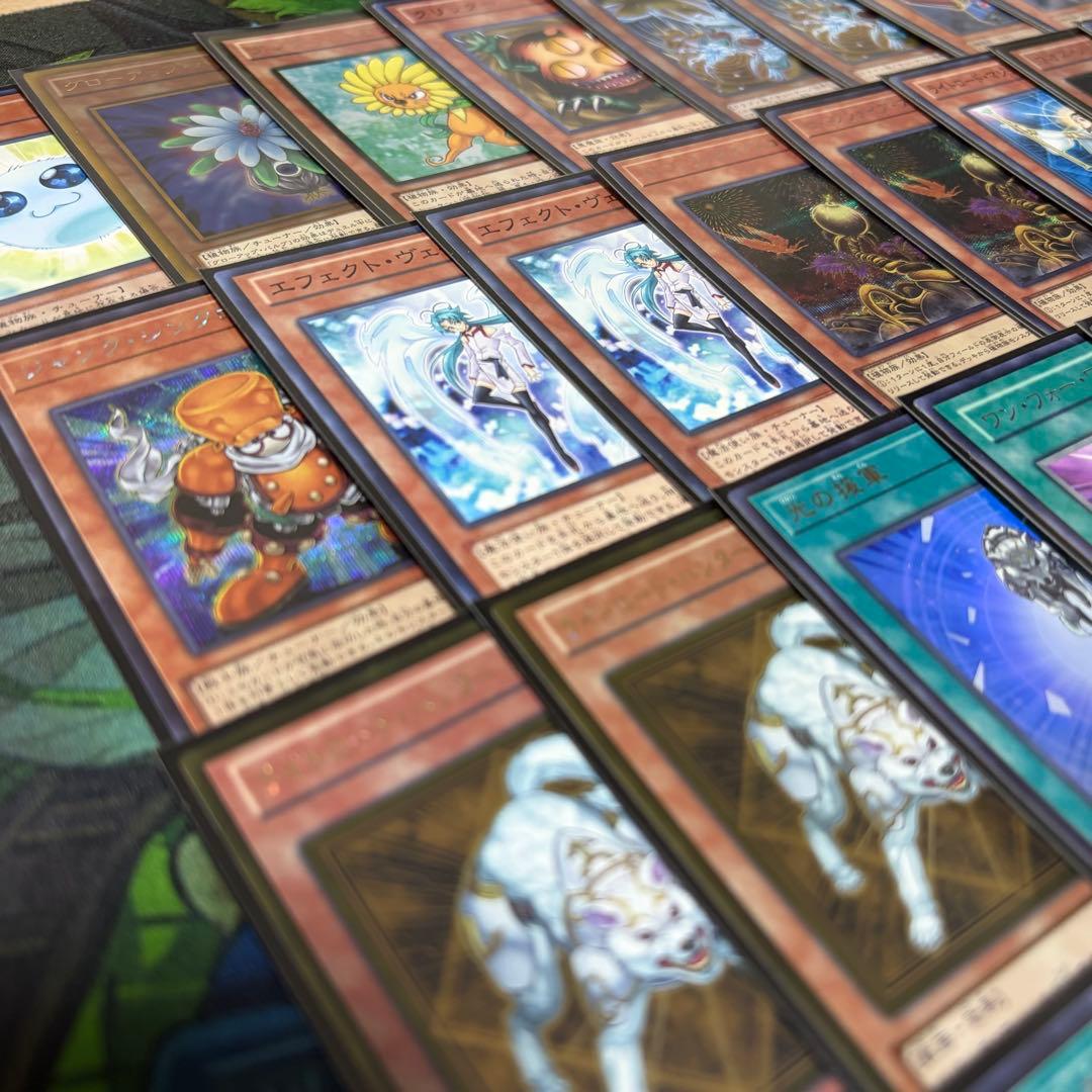 【遊戯王】1103環境 ジャンクドッペル 構築済みデッキ ゲートボール