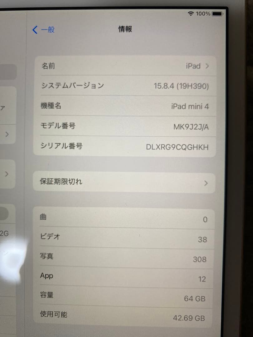 iPad本体 iPad mini4