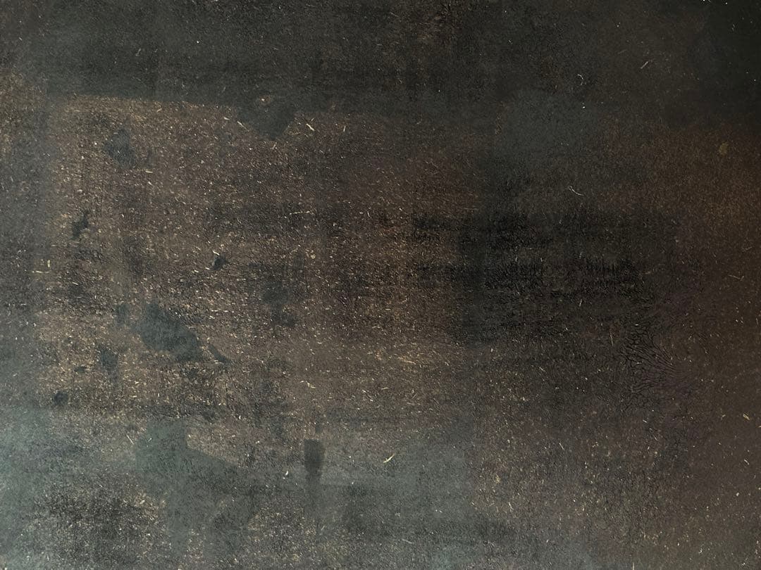 佃眞吾　日乃丸盆（大）未使用