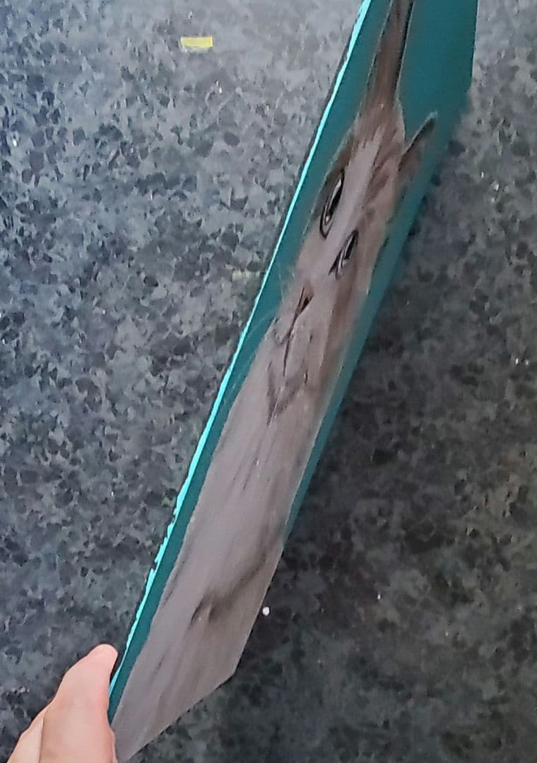 A3サイズ＊お部屋が明るくなるアート＊優しいラグドール猫