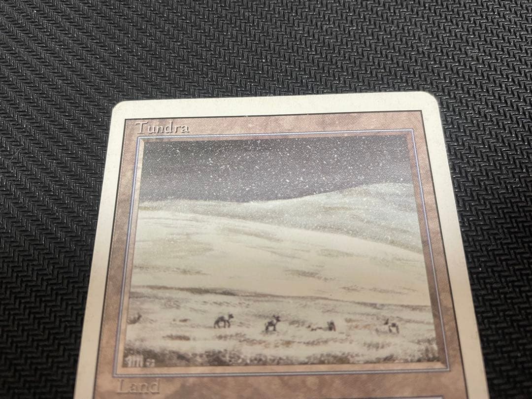 MTG Tundra 3ED EN 傷多 プレイ用