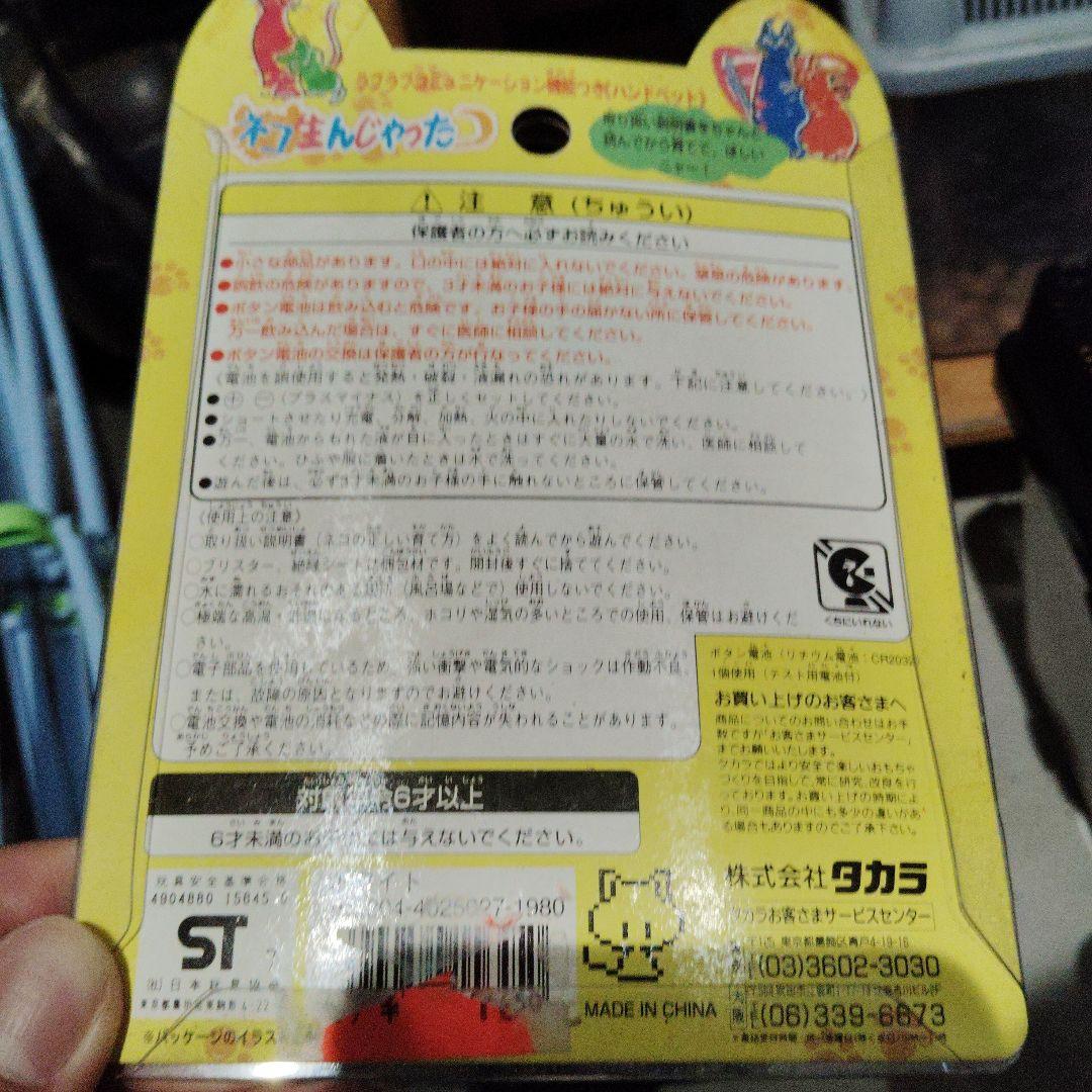 ネコ生んじゃった