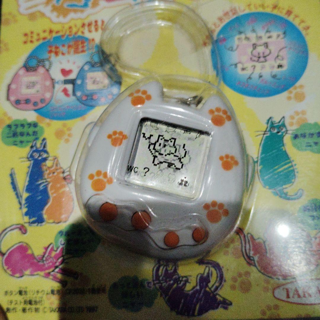 ネコ生んじゃった