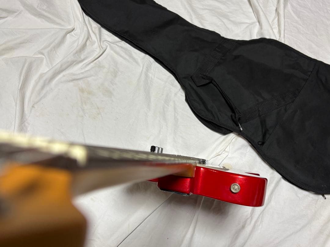 Bacchus エレキギター　テレキャスタータイプ　ケース付き1911-01-1