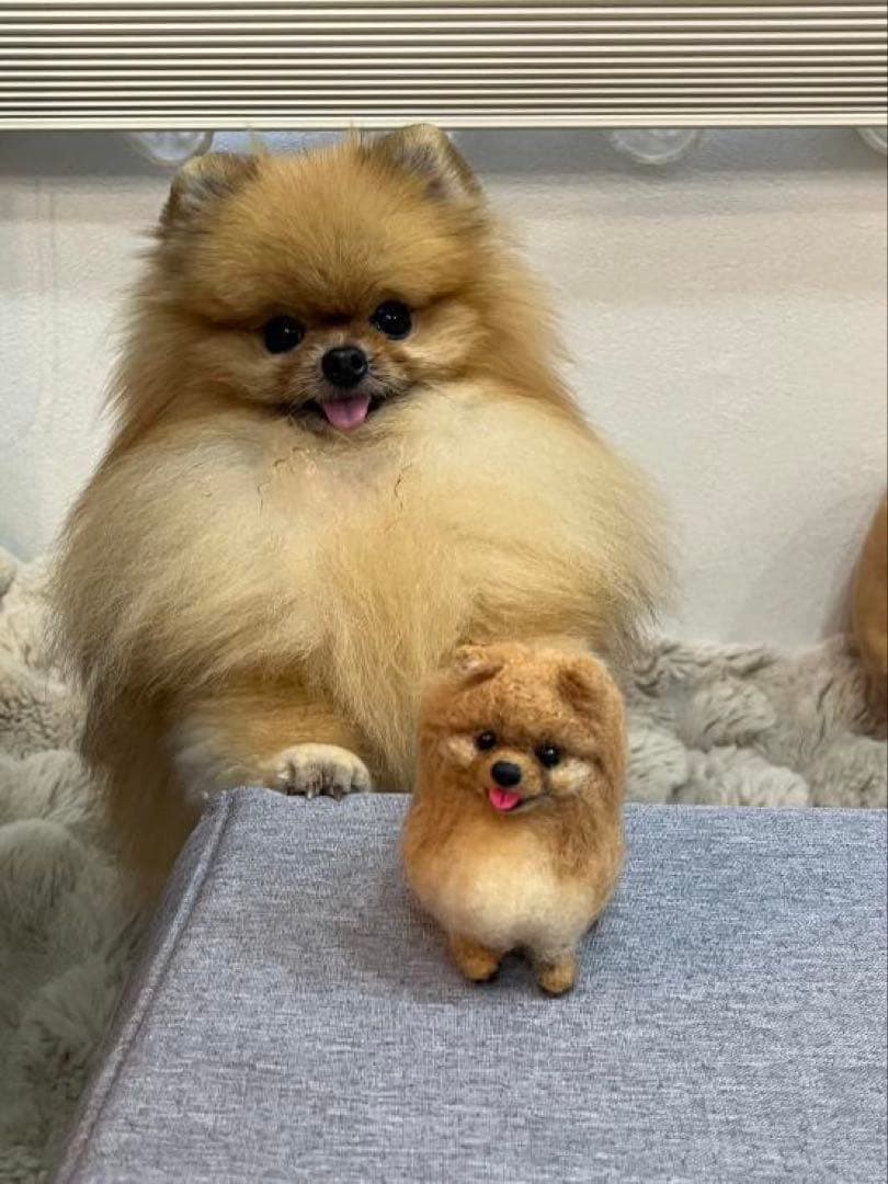 さいな　うちの子オーダー×2