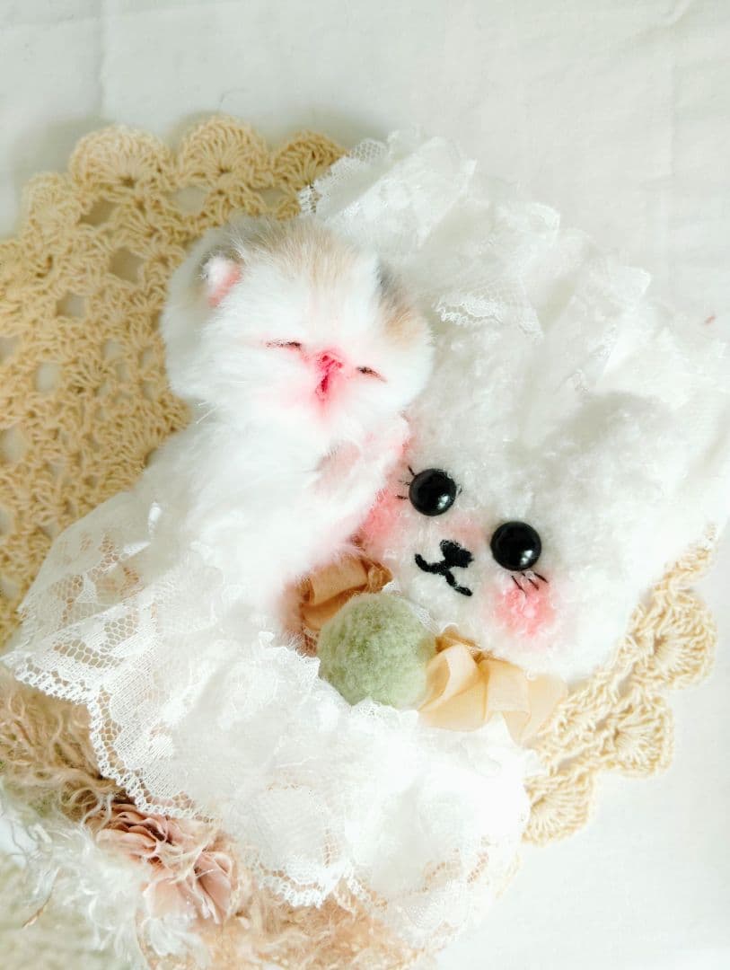 生まれたて子猫ちゃん♡生後２日♡エキゾベビー♡お布団*うさちゃん♡アートドール♡