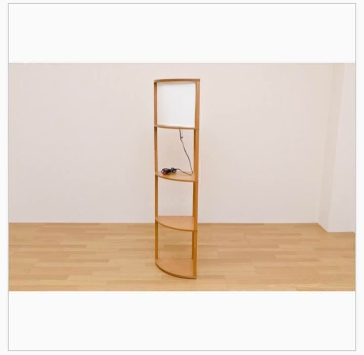 《送料無料》コーナーライト 棚付き DBR/LBR