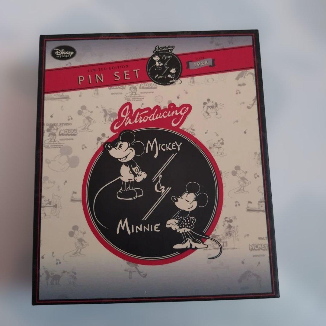 ディズニーストア／ピンバッジセット／ミッキー、ミニー