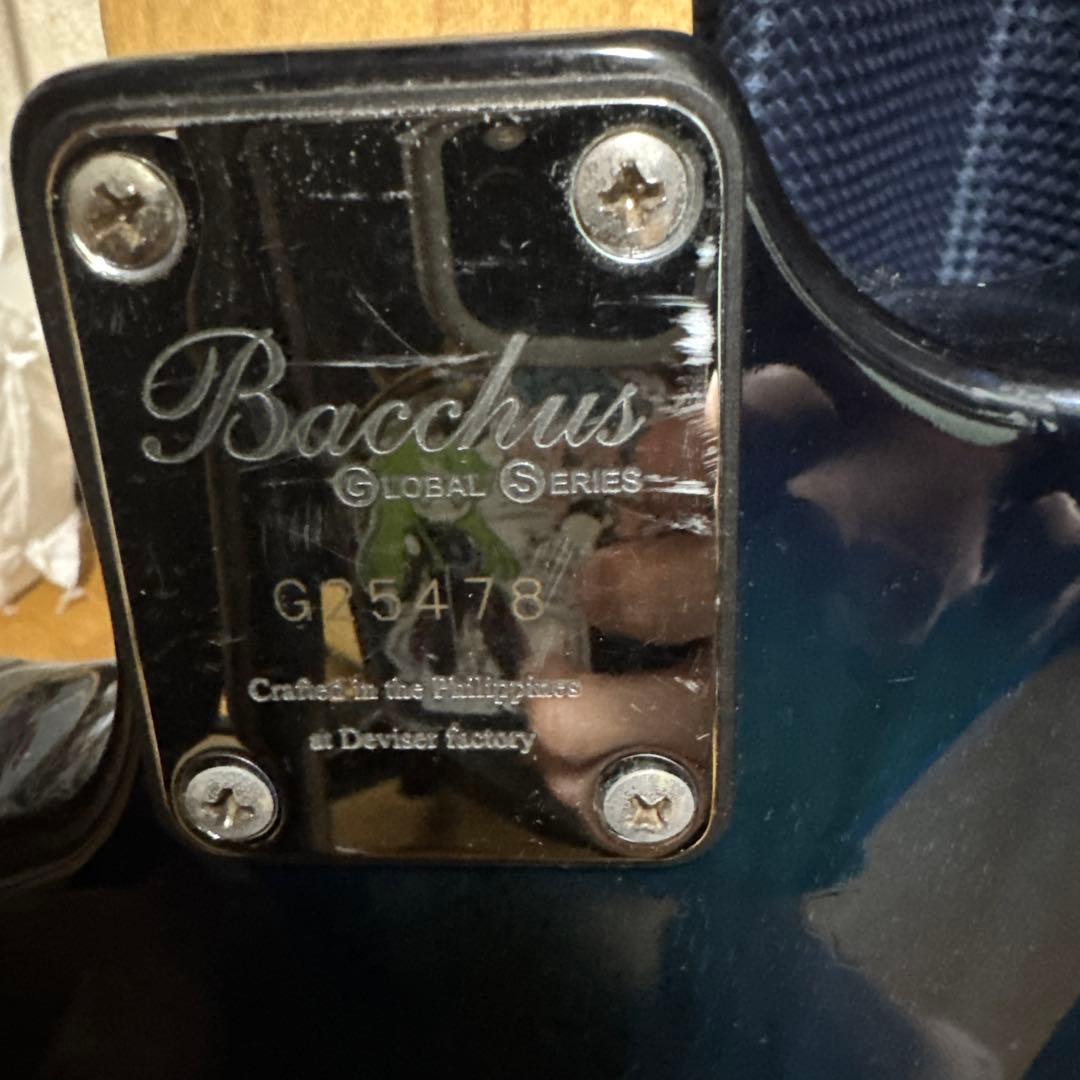 ギター Bacchus hand crafted equipment