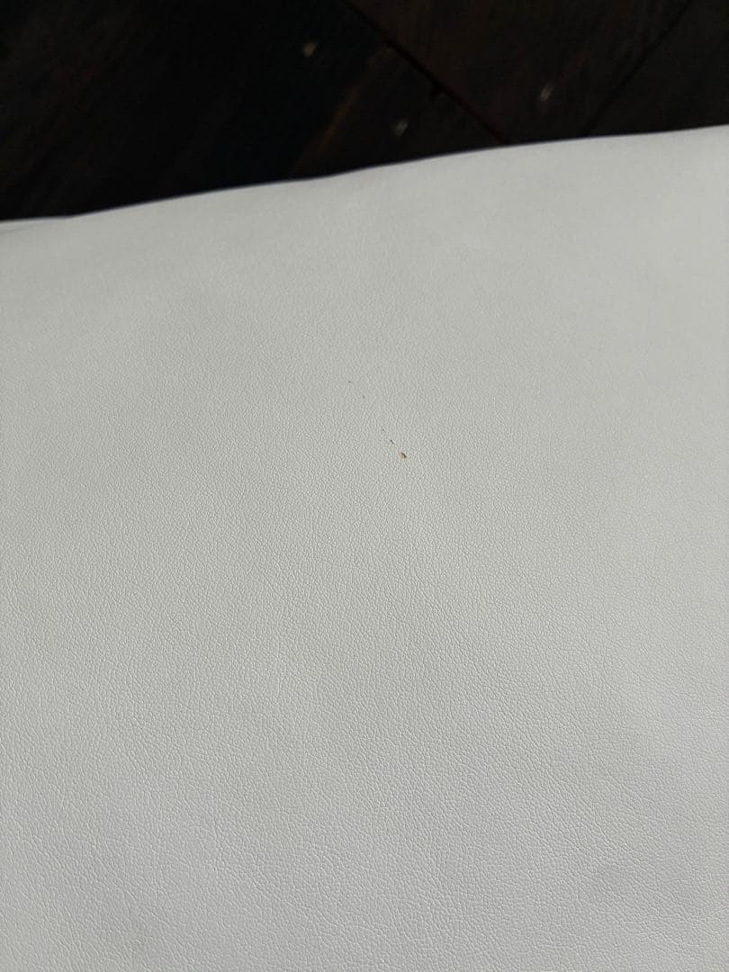 ザノッタ　zanotta サッコ　sacco ホワイト