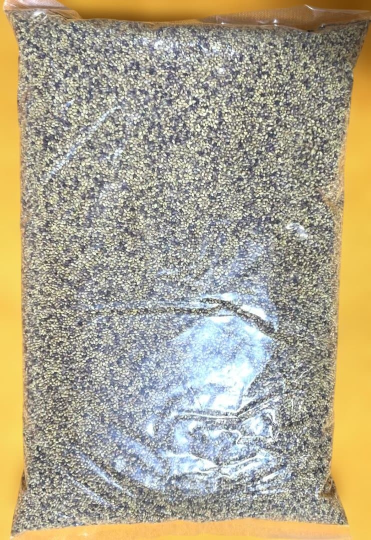 赤クローバー　種子　5Kg　（家庭菜園用）