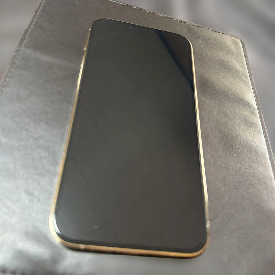 Apple iPhone 13 Pro Max ゴールド 256GB 100%