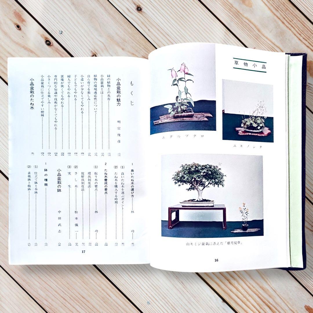 1976年日本盆栽講座 第11巻 小品盆栽編 専門書 Shohin Bonsai