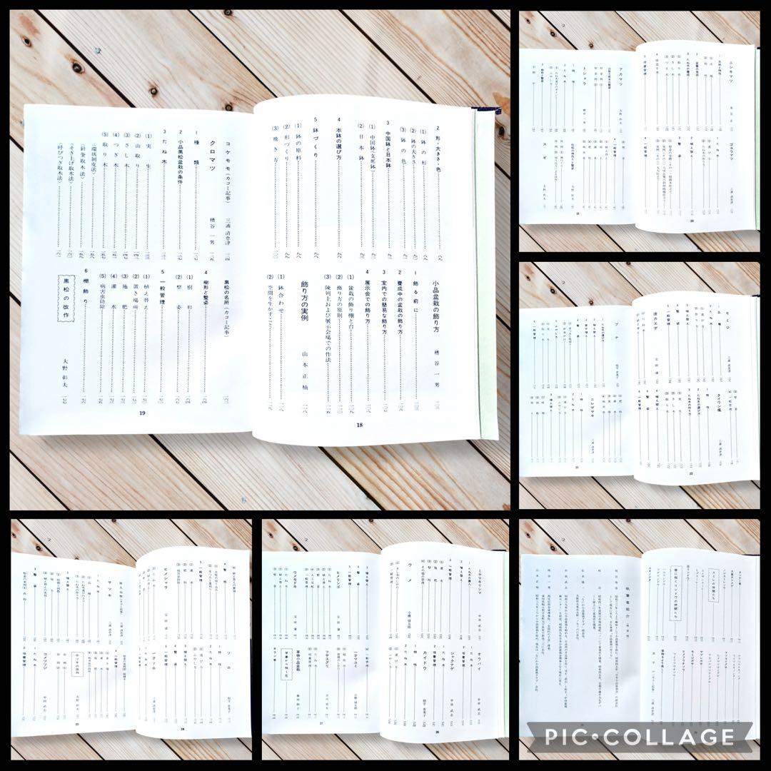 1976年日本盆栽講座 第11巻 小品盆栽編 専門書 Shohin Bonsai