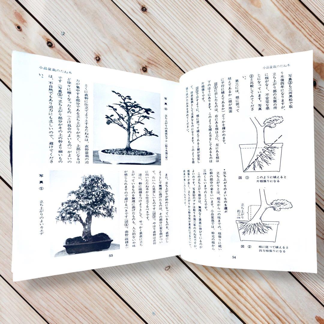 1976年日本盆栽講座 第11巻 小品盆栽編 専門書 Shohin Bonsai