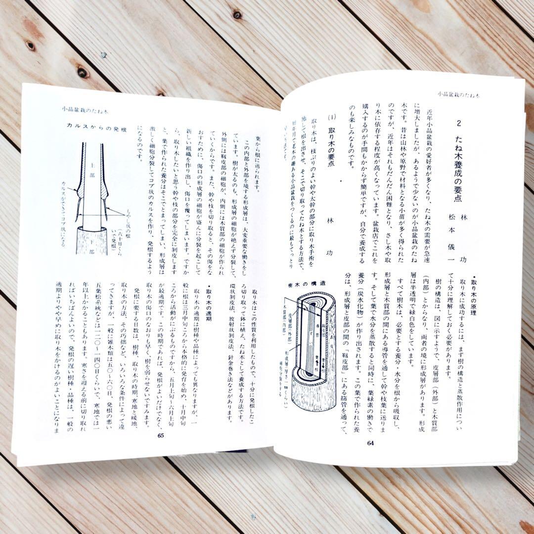 1976年日本盆栽講座 第11巻 小品盆栽編 専門書 Shohin Bonsai