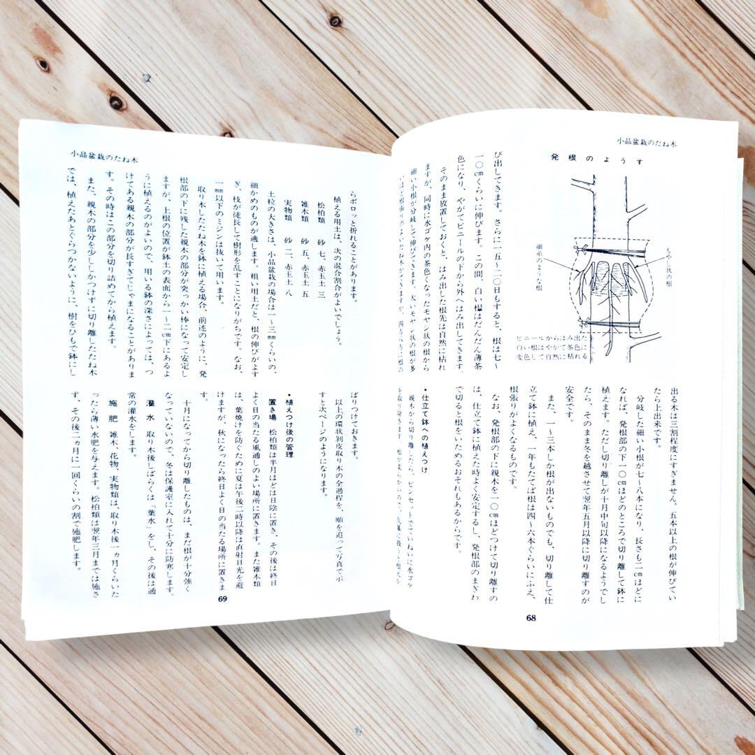 1976年日本盆栽講座 第11巻 小品盆栽編 専門書 Shohin Bonsai