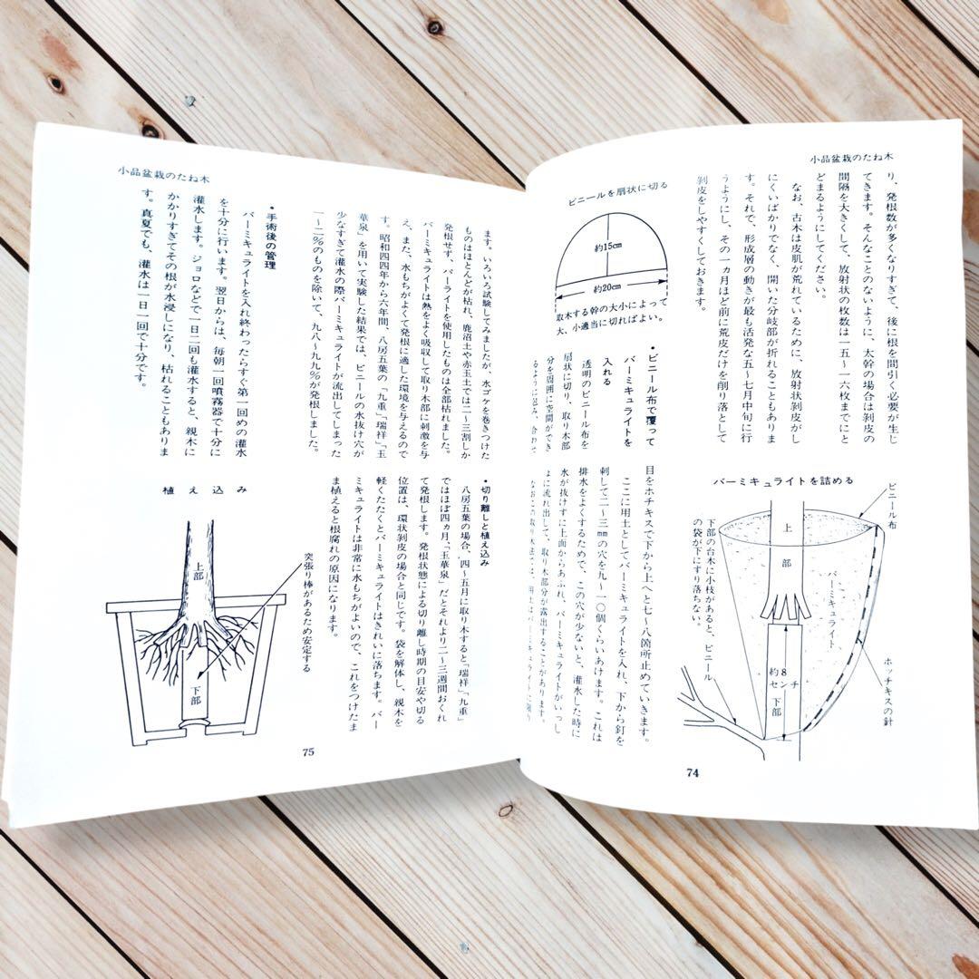 1976年日本盆栽講座 第11巻 小品盆栽編 専門書 Shohin Bonsai