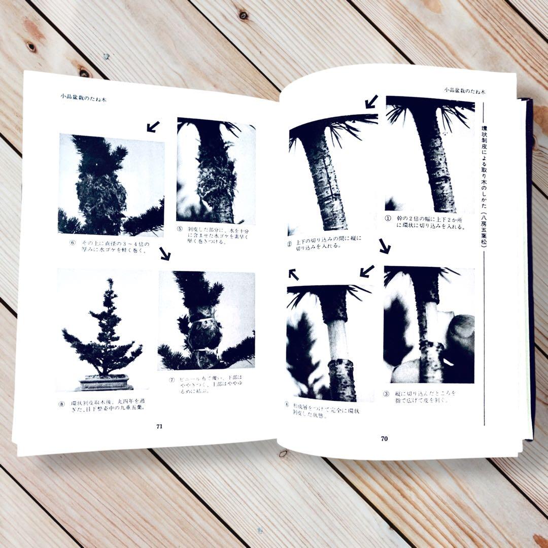 1976年日本盆栽講座 第11巻 小品盆栽編 専門書 Shohin Bonsai