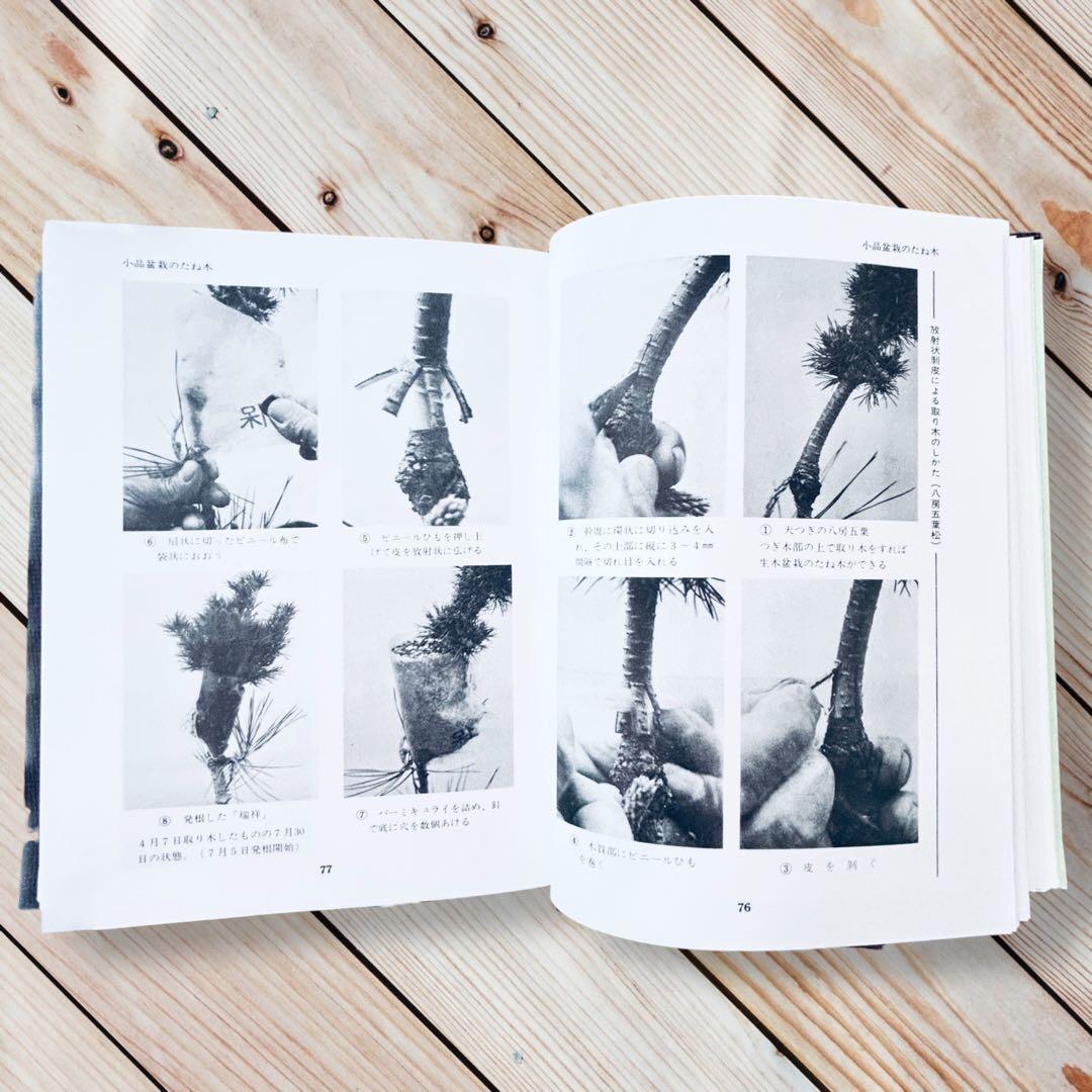 1976年日本盆栽講座 第11巻 小品盆栽編 専門書 Shohin Bonsai