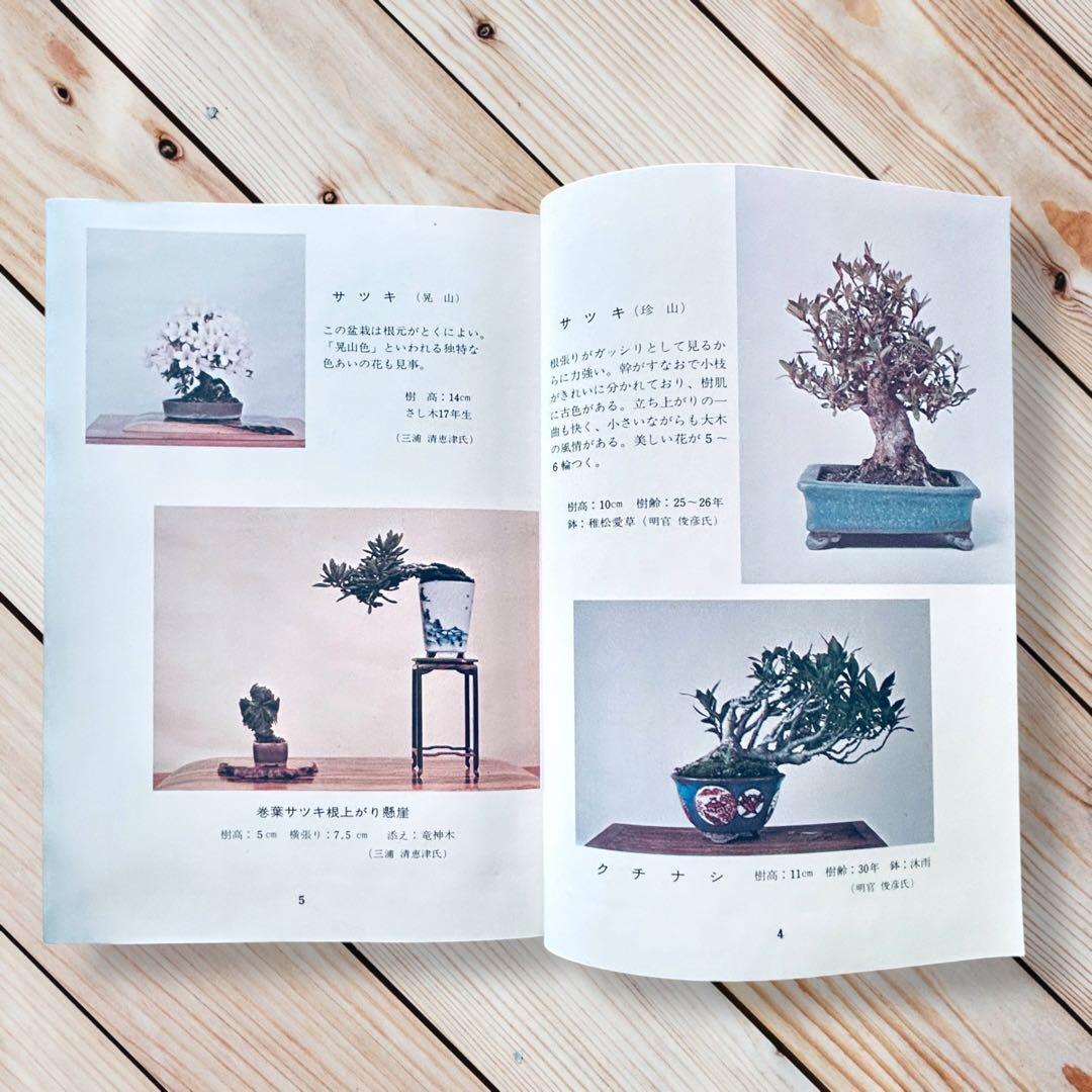 1976年日本盆栽講座 第11巻 小品盆栽編 専門書 Shohin Bonsai