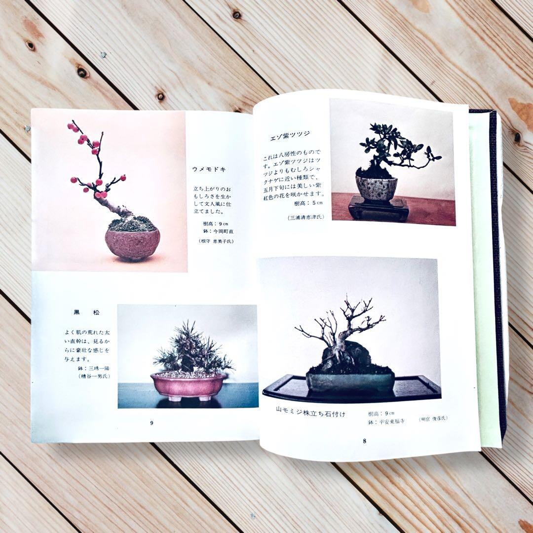1976年日本盆栽講座 第11巻 小品盆栽編 専門書 Shohin Bonsai