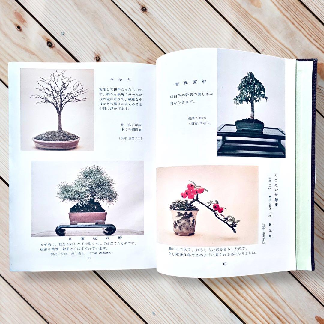 1976年日本盆栽講座 第11巻 小品盆栽編 専門書 Shohin Bonsai