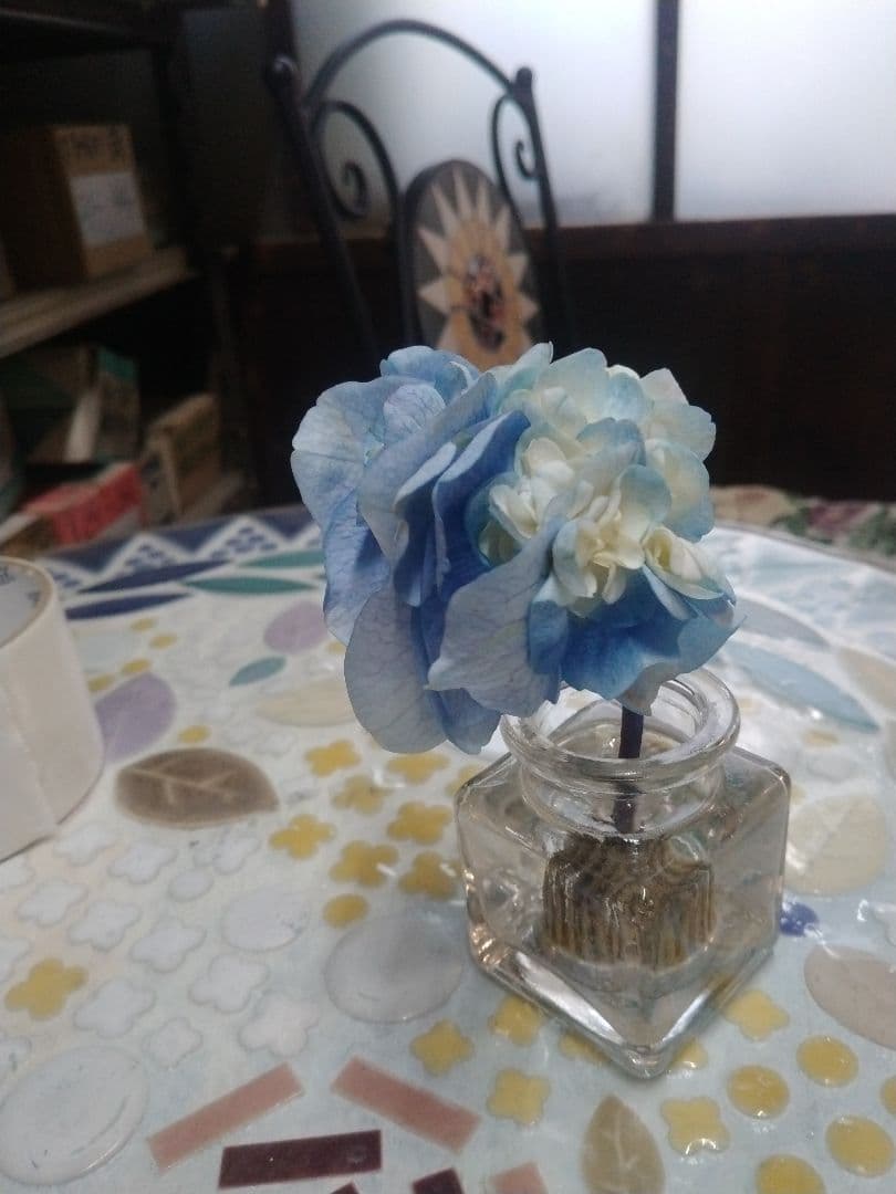 紫陽花