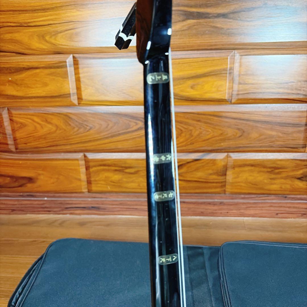 沖縄三味線 三線 ケース付き 教本 楽譜 沖縄民謡 超美品