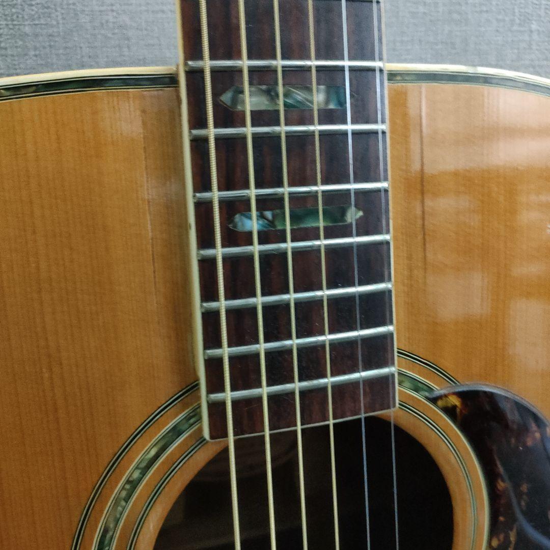 ハカランダ　 ヒルビリーW-60　 最上位　トップ単板　ジャパンヴィンテージ