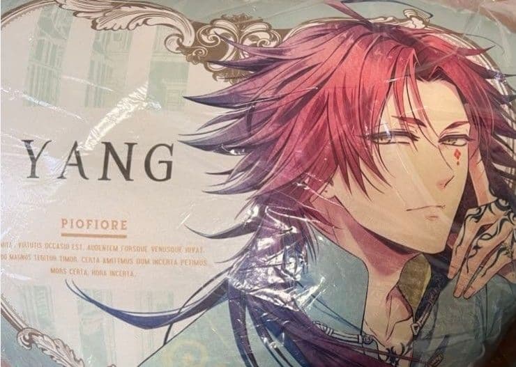 ピオフィオーレの晩鐘　楊　クッション