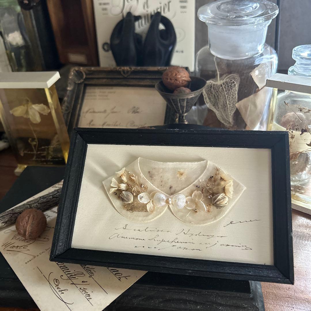 errer シルクオーガンジー 襟 壁掛け 筆記体 植物標本 アンティーク BK