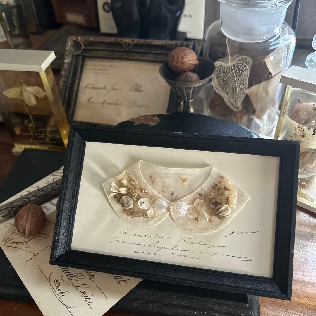 errer シルクオーガンジー 襟 壁掛け 筆記体 植物標本 アンティーク BK