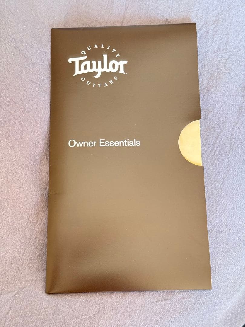 Taylor GS Mini Mahogany アコースティックギター ケース付