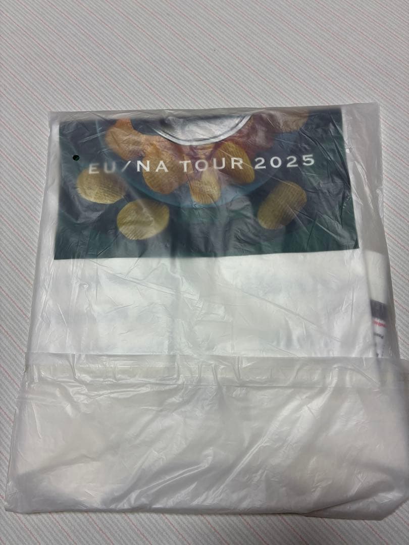 藤井風　ポテチTシャツ　2025ツアー公式グッズ salt Sサイズ