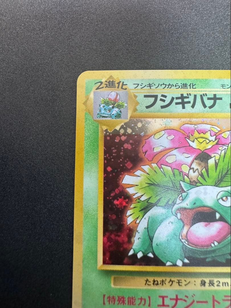 フシギバナ 旧裏 美品 とりかえっこプリーズ ポケモンカード